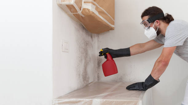 Professional Mold Remediation technician working in Canton, IL